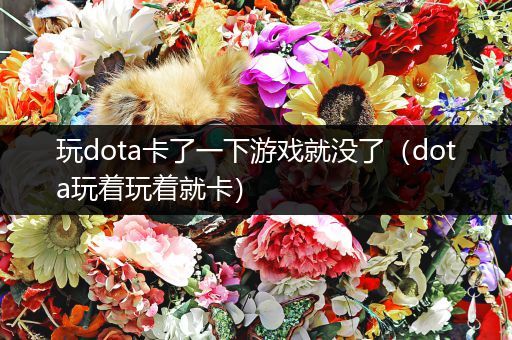 玩dota卡了一下游戏就没了（dota玩着玩着就卡）