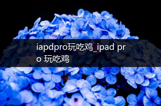 iapdpro玩吃鸡_ipad pro 玩吃鸡