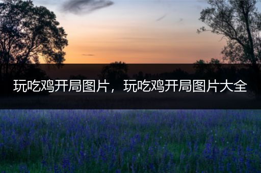 玩吃鸡开局图片，玩吃鸡开局图片大全