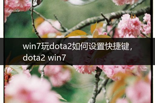 win7玩dota2如何设置快捷键，dota2 win7
