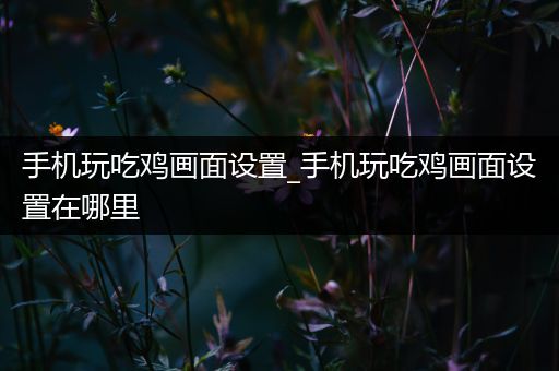 手机玩吃鸡画面设置_手机玩吃鸡画面设置在哪里
