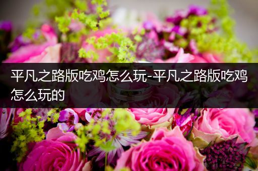 平凡之路版吃鸡怎么玩-平凡之路版吃鸡怎么玩的