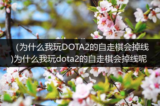 （为什么我玩DOTA2的自走棋会掉线)为什么我玩dota2的自走棋会掉线呢