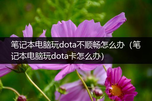 笔记本电脑玩dota不顺畅怎么办（笔记本电脑玩dota卡怎么办）