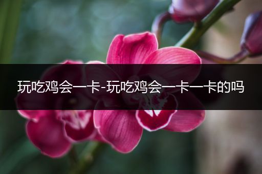 玩吃鸡会一卡-玩吃鸡会一卡一卡的吗