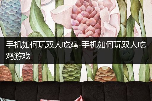 手机如何玩双人吃鸡-手机如何玩双人吃鸡游戏