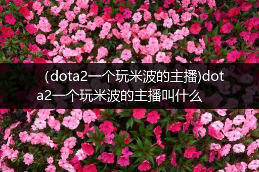 （dota2一个玩米波的主播)dota2一个玩米波的主播叫什么
