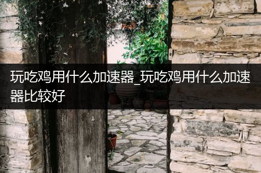 玩吃鸡用什么加速器_玩吃鸡用什么加速器比较好