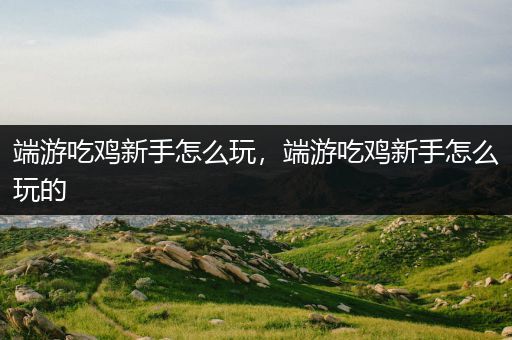 端游吃鸡新手怎么玩，端游吃鸡新手怎么玩的