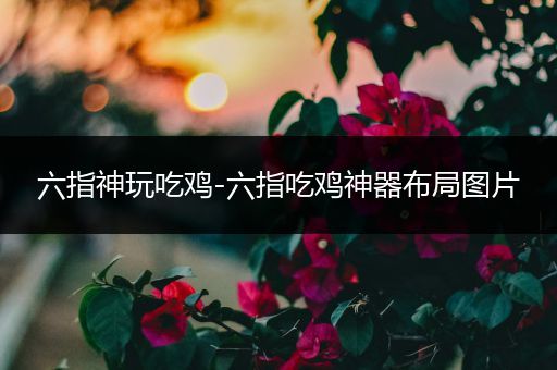 六指神玩吃鸡-六指吃鸡神器布局图片