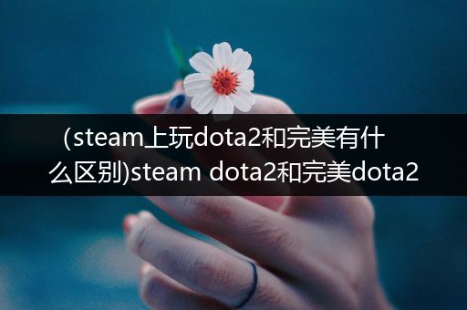 （steam上玩dota2和完美有什么区别)steam dota2和完美dota2