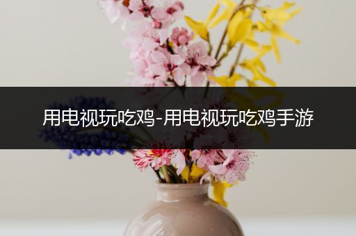 用电视玩吃鸡-用电视玩吃鸡手游