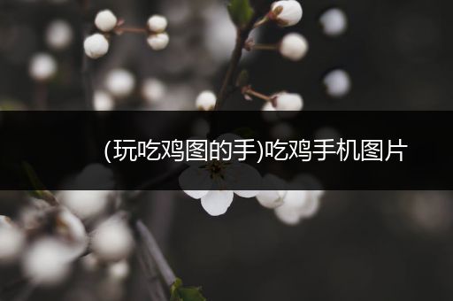 （玩吃鸡图的手)吃鸡手机图片