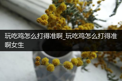 玩吃鸡怎么打得准啊_玩吃鸡怎么打得准啊女生