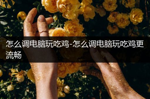 怎么调电脑玩吃鸡-怎么调电脑玩吃鸡更流畅