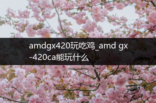 amdgx420玩吃鸡_amd gx-420ca能玩什么