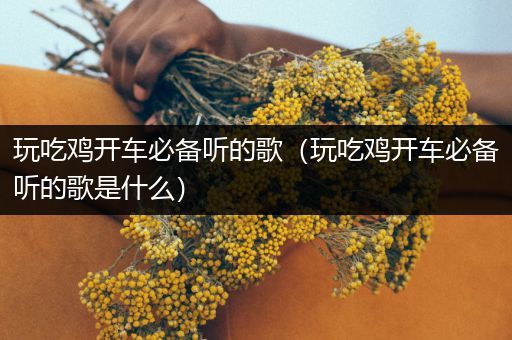 玩吃鸡开车必备听的歌（玩吃鸡开车必备听的歌是什么）