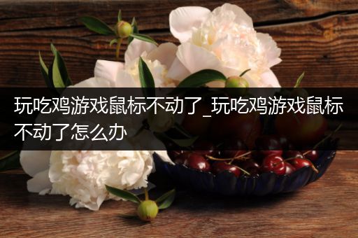 玩吃鸡游戏鼠标不动了_玩吃鸡游戏鼠标不动了怎么办