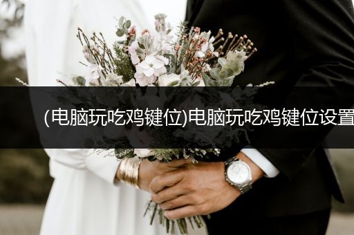 （电脑玩吃鸡键位)电脑玩吃鸡键位设置