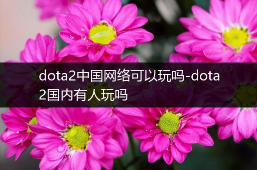 dota2中国网络可以玩吗-dota2国内有人玩吗