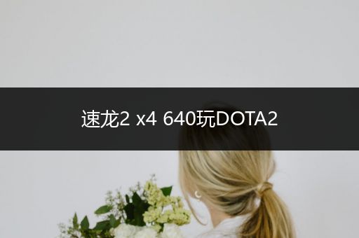 速龙2 x4 640玩DOTA2