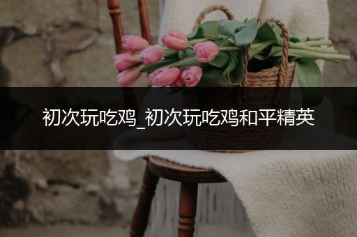 初次玩吃鸡_初次玩吃鸡和平精英