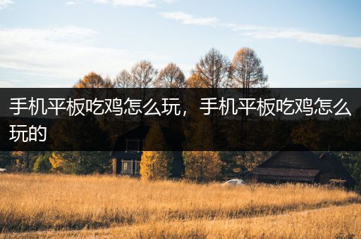 手机平板吃鸡怎么玩，手机平板吃鸡怎么玩的