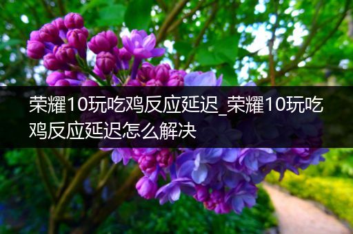 荣耀10玩吃鸡反应延迟_荣耀10玩吃鸡反应延迟怎么解决