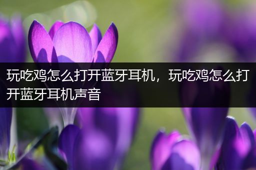 玩吃鸡怎么打开蓝牙耳机，玩吃鸡怎么打开蓝牙耳机声音