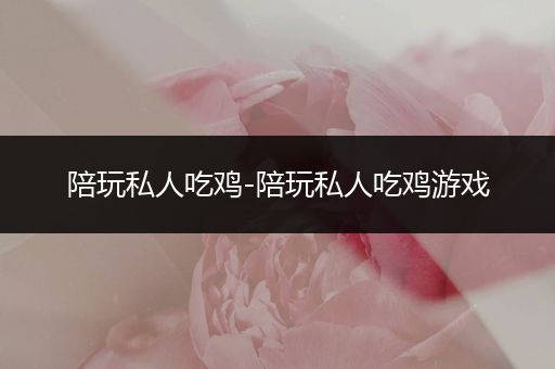 陪玩私人吃鸡-陪玩私人吃鸡游戏