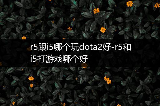 r5跟i5哪个玩dota2好-r5和i5打游戏哪个好