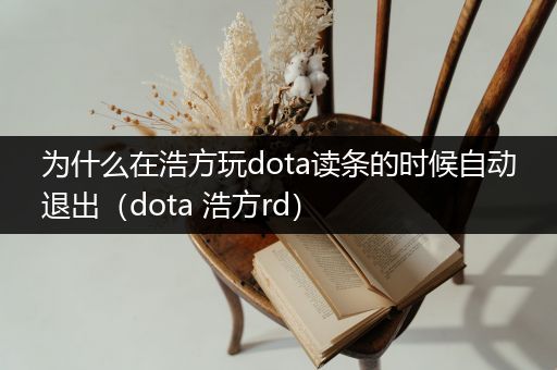 为什么在浩方玩dota读条的时候自动退出（dota 浩方rd）