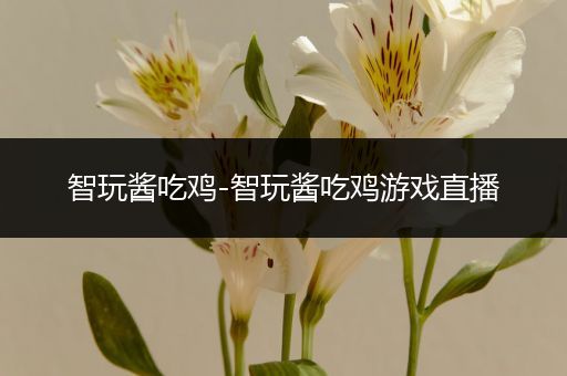 智玩酱吃鸡-智玩酱吃鸡游戏直播