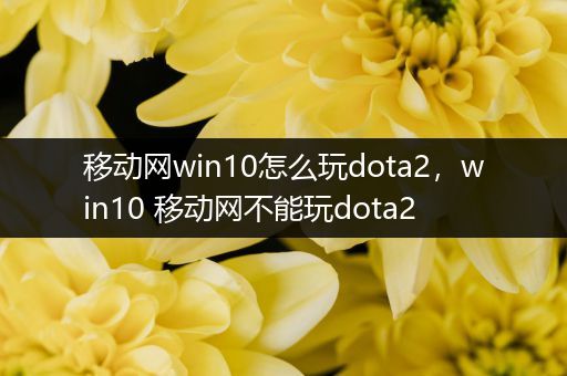 移动网win10怎么玩dota2，win10 移动网不能玩dota2