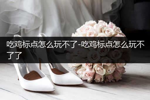 吃鸡标点怎么玩不了-吃鸡标点怎么玩不了了
