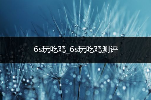 6s玩吃鸡_6s玩吃鸡测评