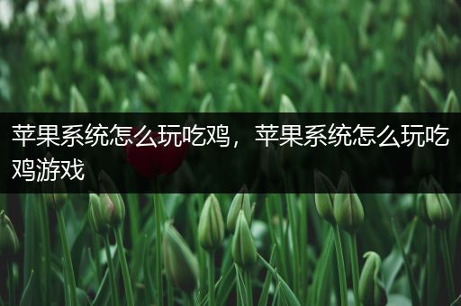 苹果系统怎么玩吃鸡，苹果系统怎么玩吃鸡游戏