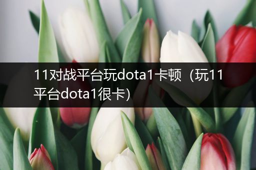 11对战平台玩dota1卡顿（玩11平台dota1很卡）