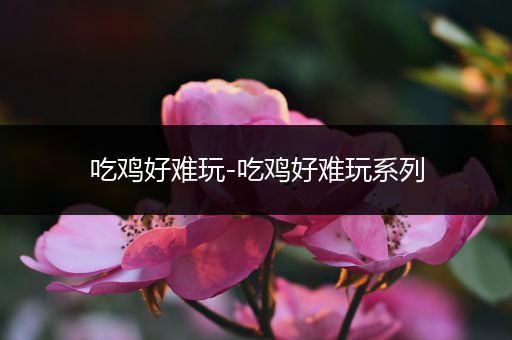 吃鸡好难玩-吃鸡好难玩系列