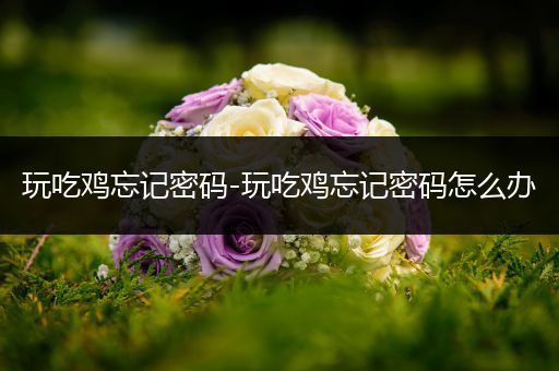 玩吃鸡忘记密码-玩吃鸡忘记密码怎么办