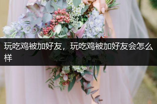 玩吃鸡被加好友，玩吃鸡被加好友会怎么样