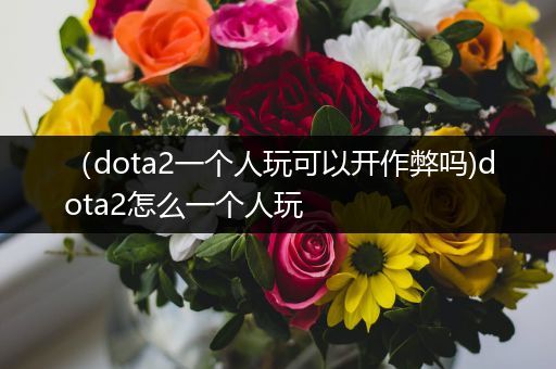 （dota2一个人玩可以开作弊吗)dota2怎么一个人玩