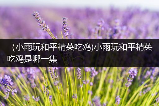（小雨玩和平精英吃鸡)小雨玩和平精英吃鸡是哪一集