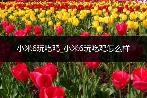 小米6玩吃鸡_小米6玩吃鸡怎么样