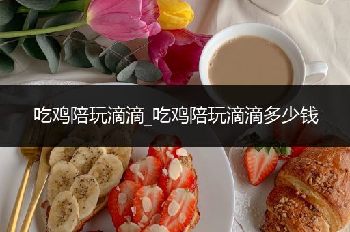 吃鸡陪玩滴滴_吃鸡陪玩滴滴多少钱