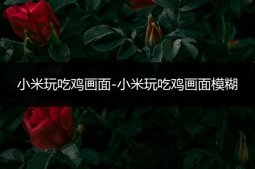 小米玩吃鸡画面-小米玩吃鸡画面模糊
