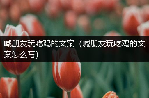 喊朋友玩吃鸡的文案（喊朋友玩吃鸡的文案怎么写）