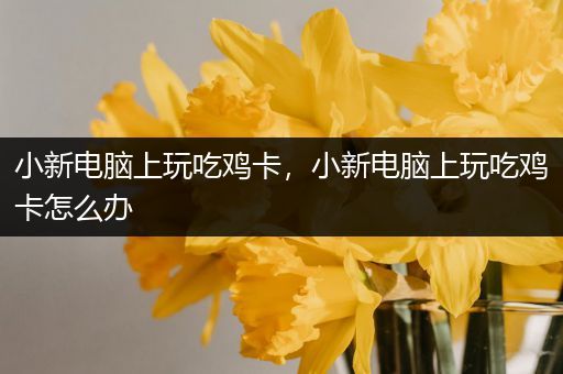 小新电脑上玩吃鸡卡，小新电脑上玩吃鸡卡怎么办
