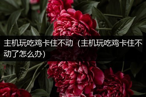 主机玩吃鸡卡住不动（主机玩吃鸡卡住不动了怎么办）