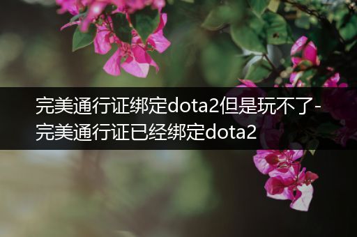 完美通行证绑定dota2但是玩不了-完美通行证已经绑定dota2